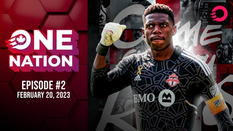 From Brick Wall to Meme Royalty: How Sean Johnson Turned Toronto FC’s Goal Into a No-Fly Zone (and Gave Opponents Severe Facepalms)